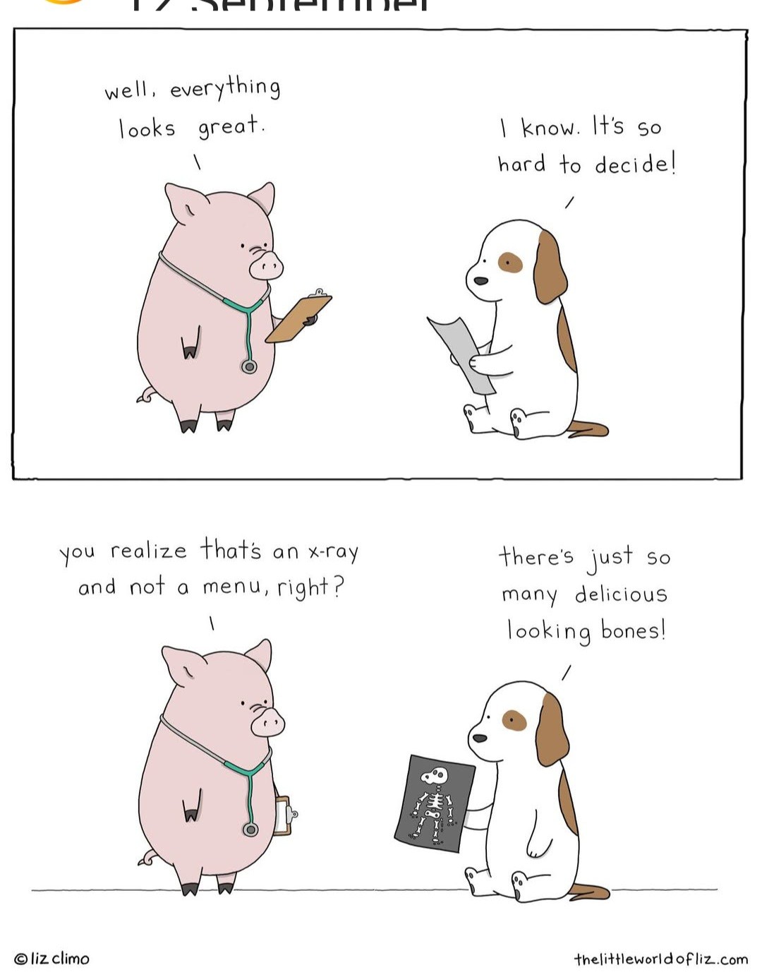 Dr pig consults