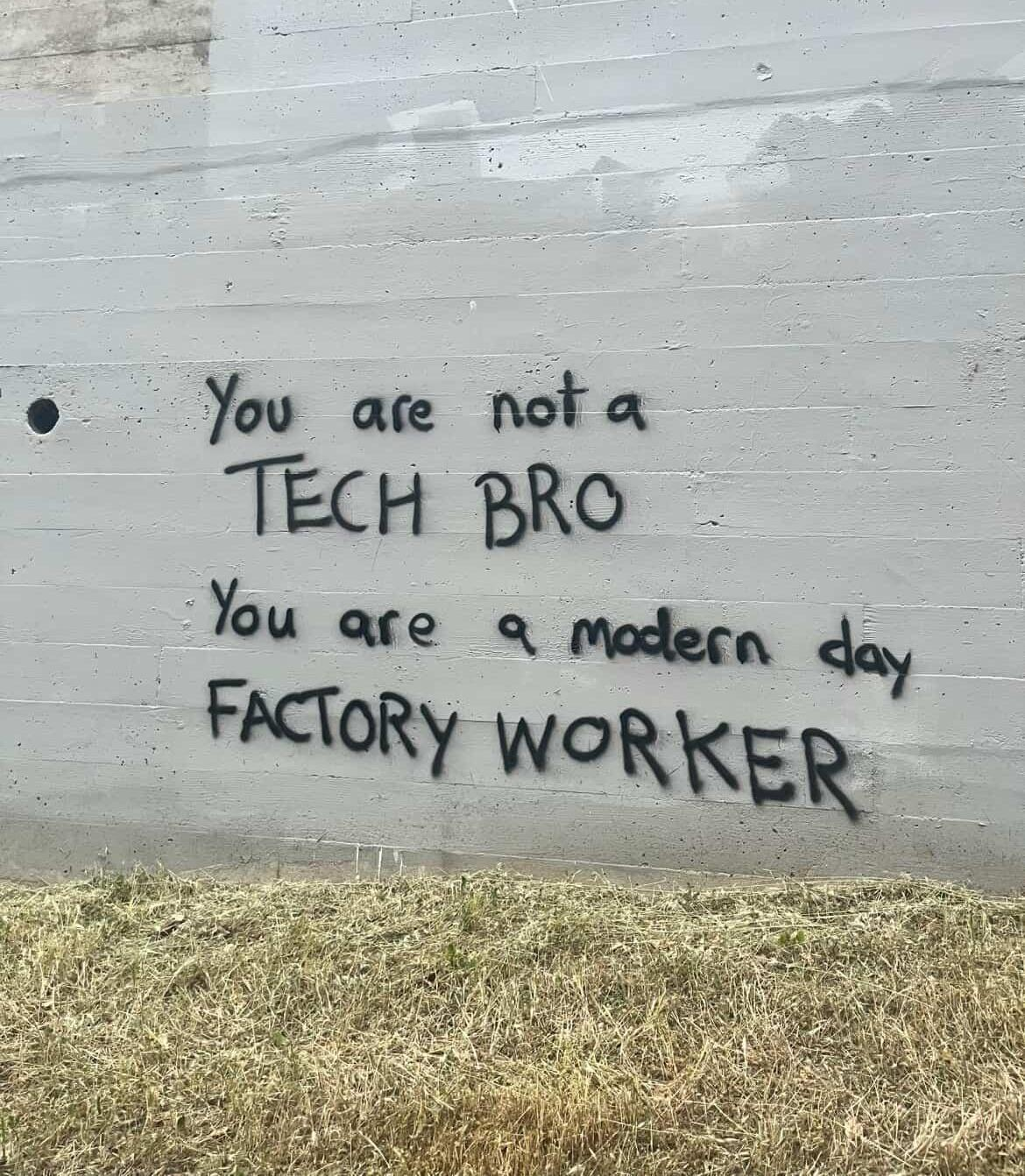 L'immagine mostra un muro grigio con graffiti scritto in nero. Il testo recita: "You are not a TECH BRO You are a modern day FACTORY WORKER". Il muro è di cemento con tracce di usura e piccole imperfezioni. Sotto il muro, c'è un prato secco e dorato. Il messaggio del graffiti sembra criticare la percezione comune dei tecnologi come "Tech Bro" e suggerisce che dovrebbero essere visti come lavoratori di fabbrica moderni.