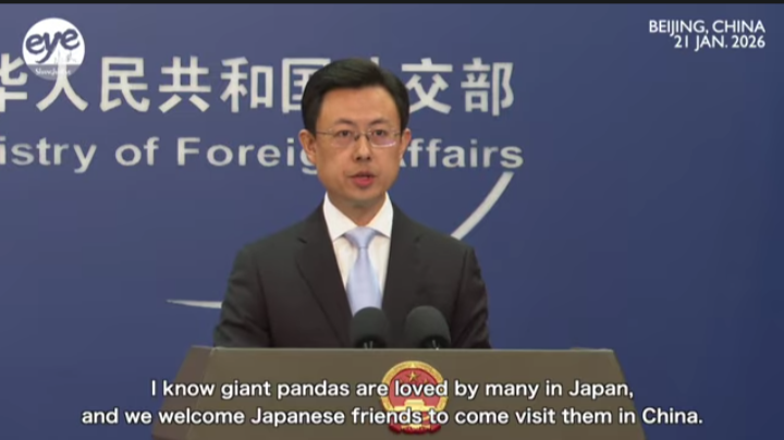 screenshot from yt clip, inviting panda lovers to China