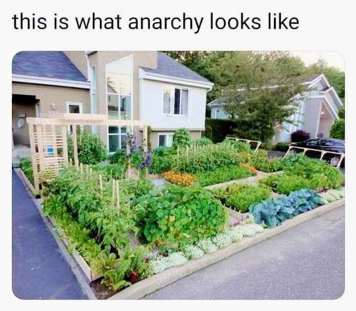 Feed your Neighbours