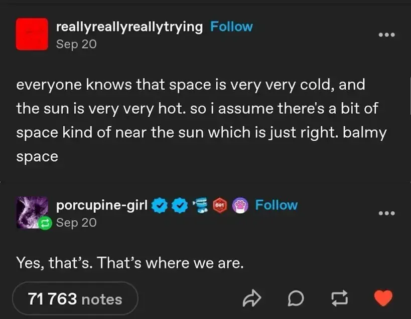 reallyreallyreallytrying on Tumblr "everyone knows that space is very cold, and the sun is very very hot. so i assume there's a bit of space kind of near the sun which is just right. balmy space". porcupine-girl replies "Yes, that's. That's where we are."