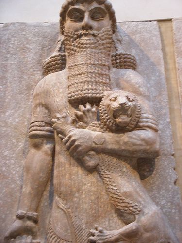 Look at this proud cat owner. Good on Gilgamesh, wanting everyone to see his flufty baby:
